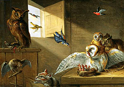 Постер Кессель Ян A Family of Owls, other Birds and a Cat Постер Кессель Ян A Family of Owls, other Birds and a Cat