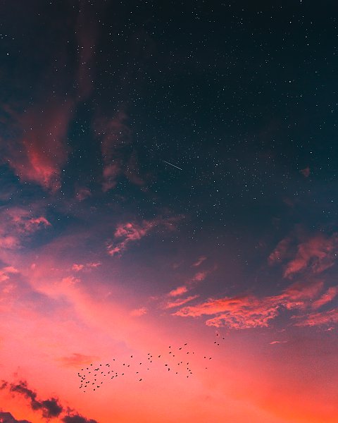 Стая птиц на закатном небе