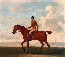 Постер Сеймур Джеймс One of Four Portraits of Horses - a Chestnut Racehorse with Jockey Up 1730 Постер Сеймур Джеймс One of Four Portraits of Horses - a Chestnut Racehorse with Jockey Up 1730