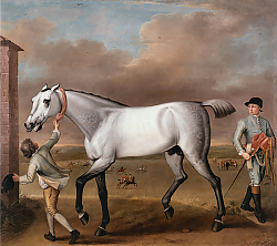 Постер Уоттон Джон The Duke of Hamilton's Grey Racehorse Victorious at Newmarket 1725 Постер Уоттон Джон The Duke of Hamilton's Grey Racehorse Victorious at Newmarket 1725