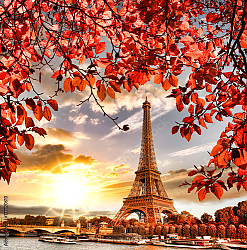Постер Франция, Париж. Eiffel Tower with autumn leaves Постер Франция, Париж. Eiffel Tower with autumn leaves