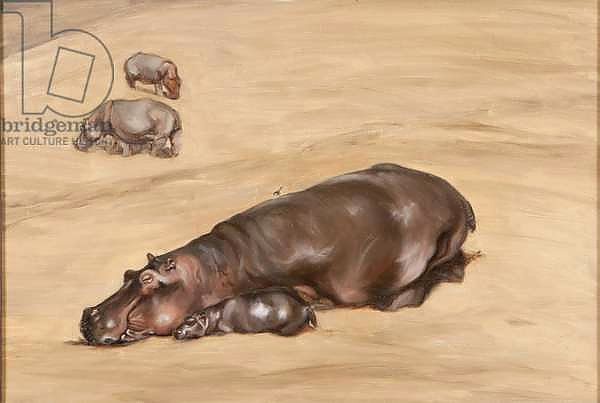 Hippo and calf, 2012,