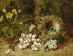 Постер Клер Оливер Apple Blossoms, a Primrose and Birds Nest on a Mossy Bank, Постер Клер Оливер Apple Blossoms, a Primrose and Birds Nest on a Mossy Bank,