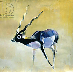 Постер Адлингтон Марк (совр) Black Buck, Velavadar, 1997 Постер Адлингтон Марк (совр) Black Buck, Velavadar, 1997