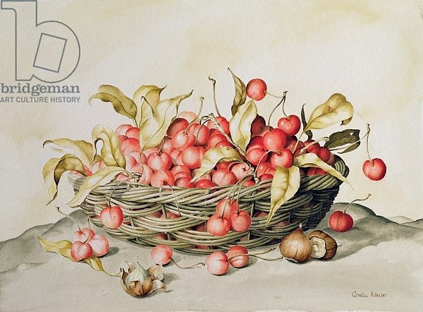 Basket of cherries, 1998