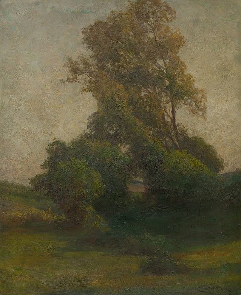 Tree in the countryside