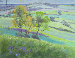 Постер Дюрхем Энн (совр) Towards Winchelsea, Sussex, with Bluebells in Spring Постер Дюрхем Энн (совр) Towards Winchelsea, Sussex, with Bluebells in Spring