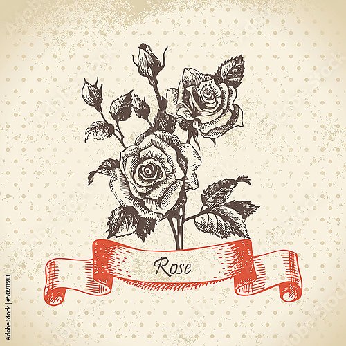 Постер Иллюстрация с розами