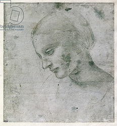 Постер Леонардо да Винчи (Leonardo da Vinci) Head of a Young Woman or Head of the Virgin, c.1490 Постер Леонардо да Винчи (Leonardo da Vinci) Head of a Young Woman or Head of the Virgin, c.1490