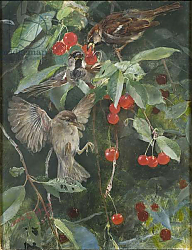 Постер Лильефорс Бруно Sparrows in a Cherry Tree, 1885 Постер Лильефорс Бруно Sparrows in a Cherry Tree, 1885