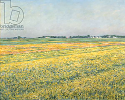 Постер Кайботт Гюстав (Gustave Caillebotte) The Plain of Gennevilliers, Yellow Fields; La plaine de Gennevilliers, champs jaunes, 1884 Постер Кайботт Гюстав (Gustave Caillebotte) The Plain of Gennevilliers, Yellow Fields; La plaine de Gennevilliers, champs jaunes, 1884