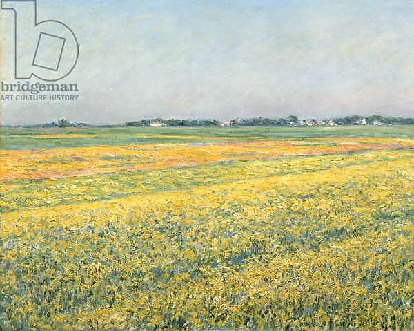 The Plain of Gennevilliers, Yellow Fields; La plaine de Gennevilliers, champs jaunes, 1884
