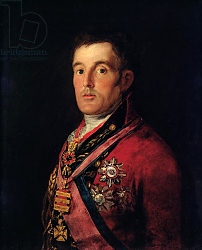 Постер Гойя Франсиско (Francisco de Goya) The Duke of Wellington 1812-14 Постер Гойя Франсиско (Francisco de Goya) The Duke of Wellington 1812-14