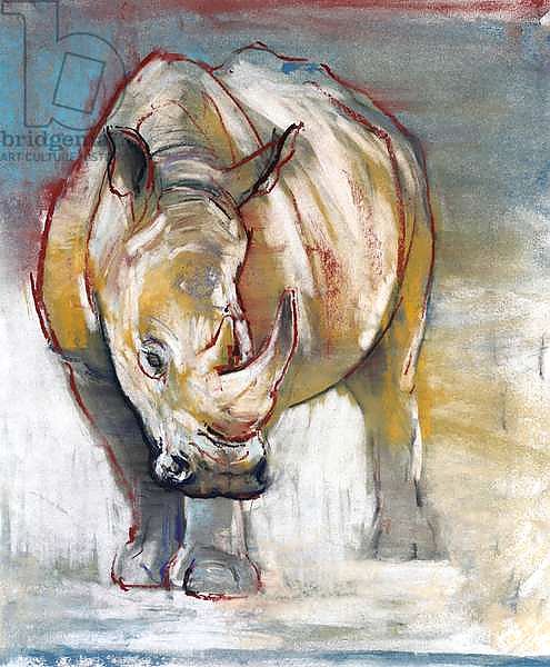 White Rhino, Ol Pejeta, 2018,