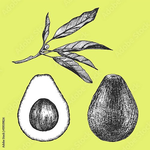 Авокадо на лимонном фоне