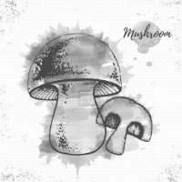 Черно-белое