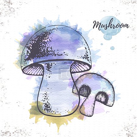 Эскиз акварельных грибов