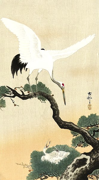 Японский журавль на ветке сосны (1900 - 1930)