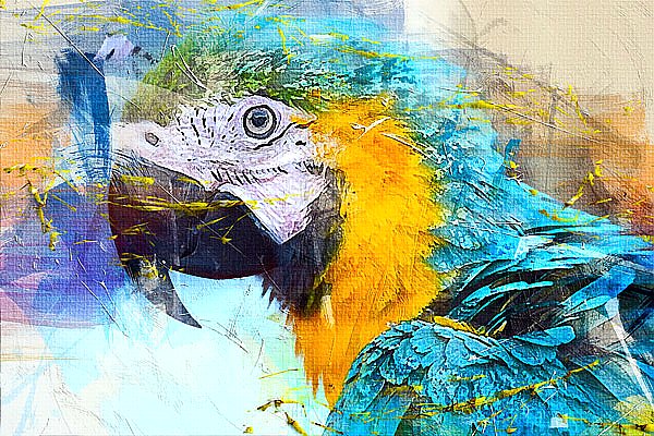Портрет голубого попугая