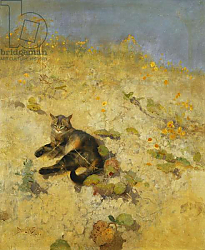 Постер Лильефорс Бруно A Cat Basking in the Sun, 1884 Постер Лильефорс Бруно A Cat Basking in the Sun, 1884