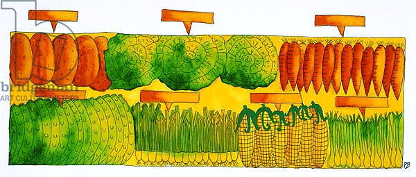 Vegetables, 1998