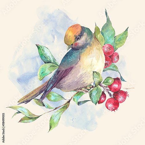 Акварельная птичка на ветке с красными ягодами