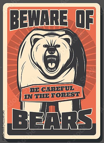Остерегайтесь медведей