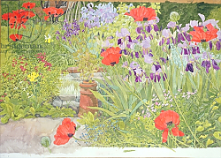 Постер Бентон Линда (совр) Poppies and Irises near the Pond Постер Бентон Линда (совр) Poppies and Irises near the Pond