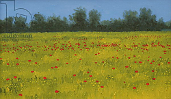 Постер Берн Алан (совр) Yellow Field with Poppies, 2002 Постер Берн Алан (совр) Yellow Field with Poppies, 2002