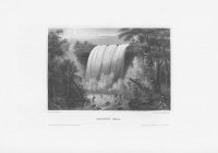 Черно-белое