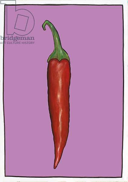 Chilli pepper purple