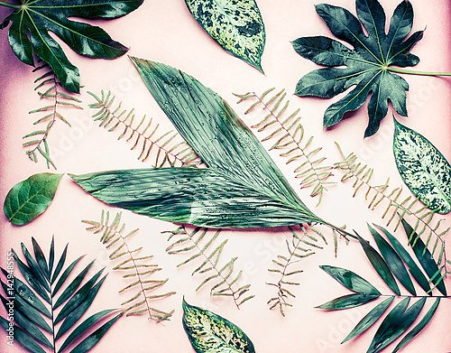 Пальмовые листья разной формы на пастельно-розовом фоне