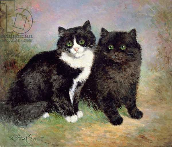 A Pair of Pussy Cats