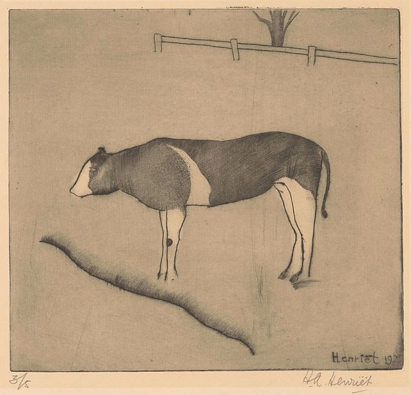 Koe staand bij een oever