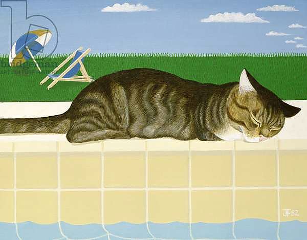 Tabby cat by a pool