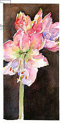 Постер Килинг Джон (совр) Amaryllis with brown background, 2015, Постер Килинг Джон (совр) Amaryllis with brown background, 2015,