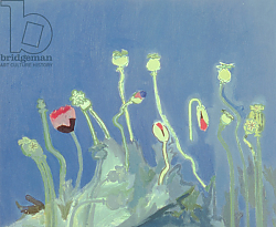 Постер Миши Давид (совр) Poppyheads Постер Миши Давид (совр) Poppyheads