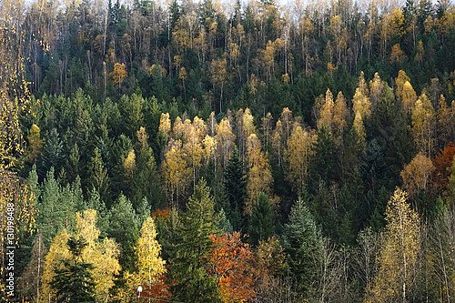 Carpathian mountain in autumn