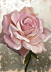 Постер Чайная роза