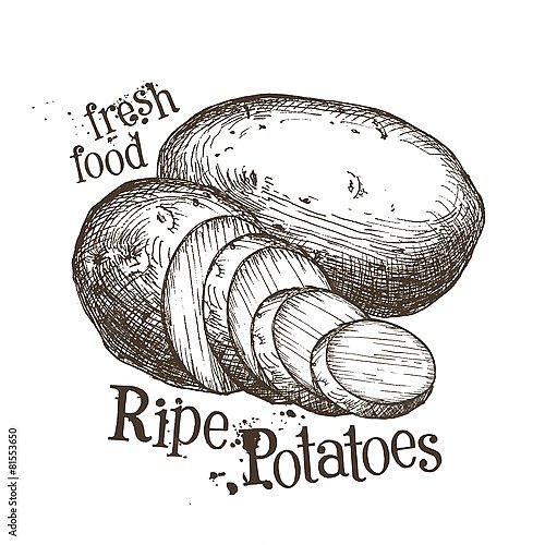 Иллюстрация с нарезанным картофелем