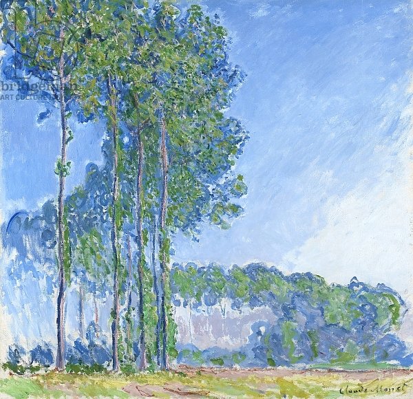 Poplars, 1891