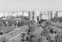 Черно-белое