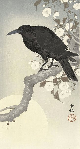 Crow at full moon