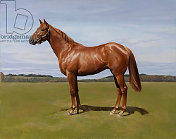 Постер Кинэвэй Эмма (совр) Colt, 2011 Постер Кинэвэй Эмма (совр) Colt, 2011