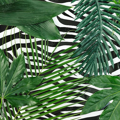 Тропические листья на фоне текстуры зебры