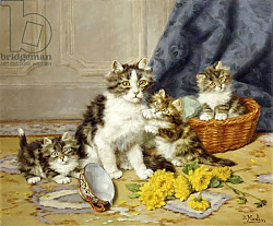 Постер Мерлин Даниэль Playful Kittens, Постер Мерлин Даниэль Playful Kittens,