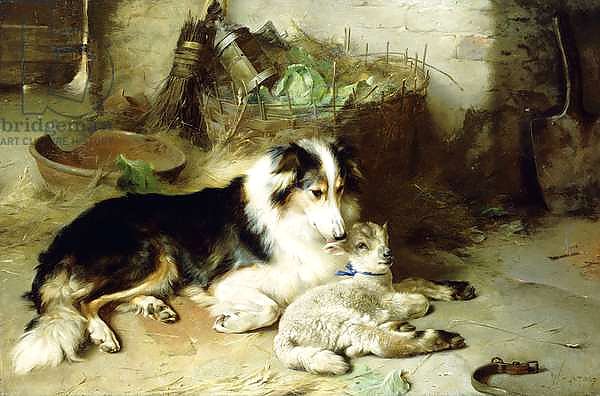 Motherless-The Shepherd's Pet, 1897