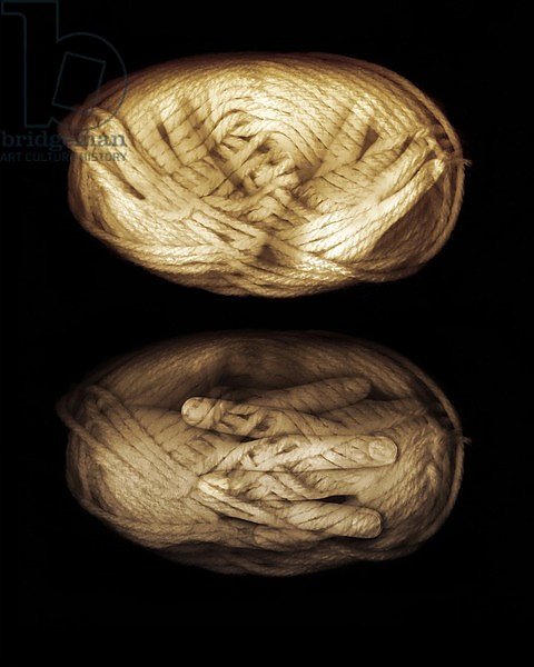 Yarn hands,2013,