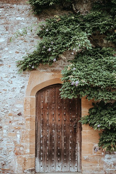 Заросшая зеленью дверь в старом особняке
