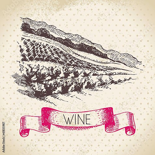 Иллюстрация с виноградником